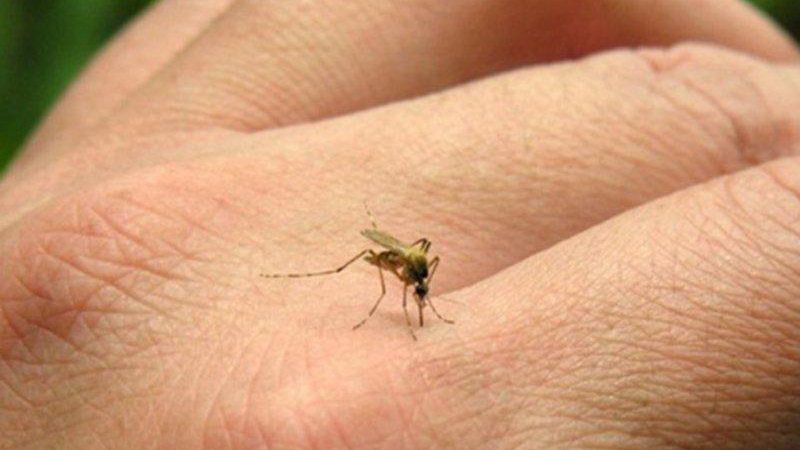 Região registra primeiro óbito por dengue