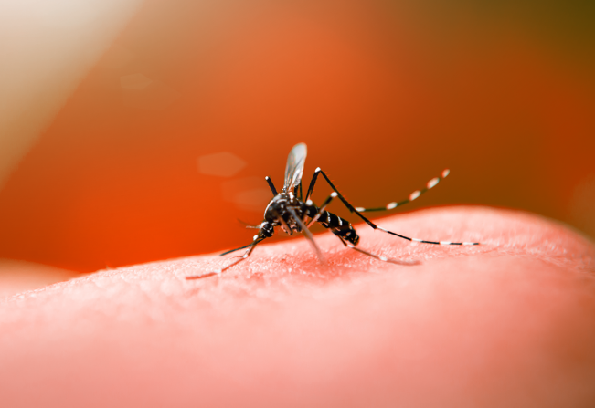 Encantado registra primeira morte por dengue