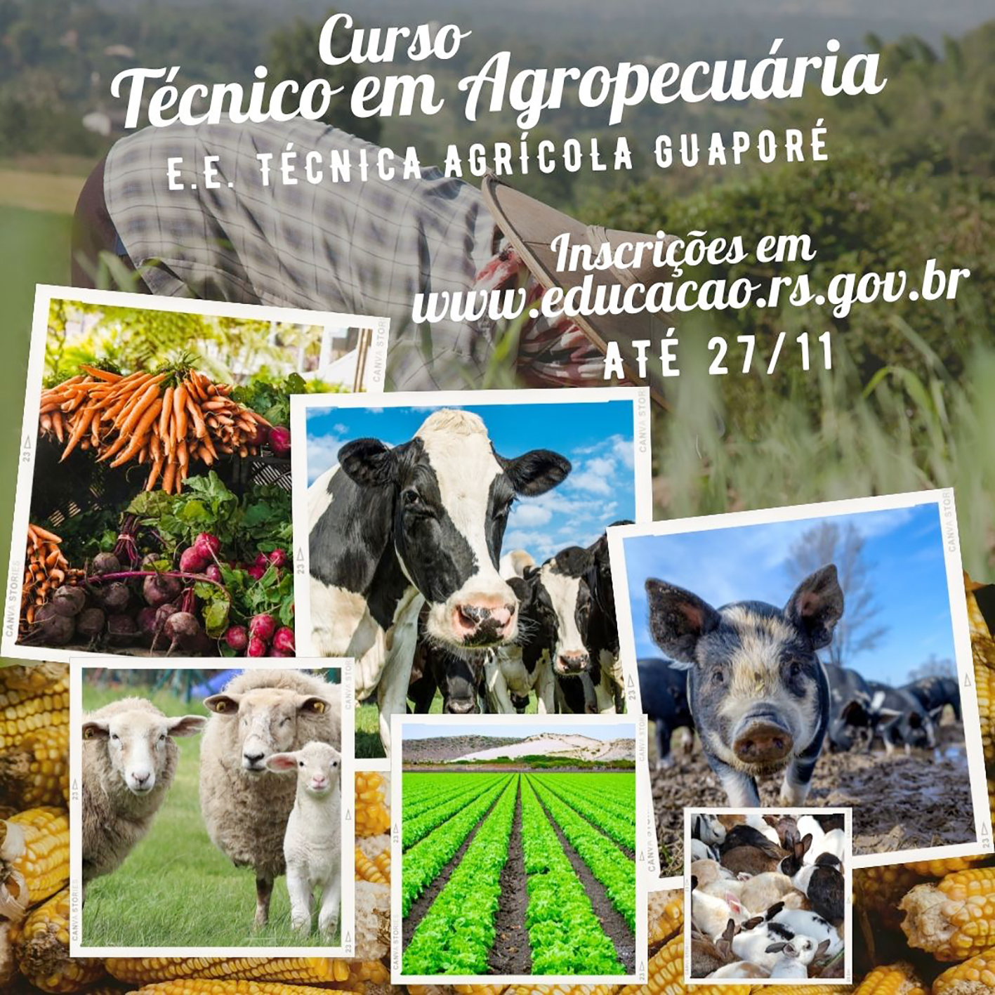 Inscrições abertas na Escola Agrícola de Guaporé