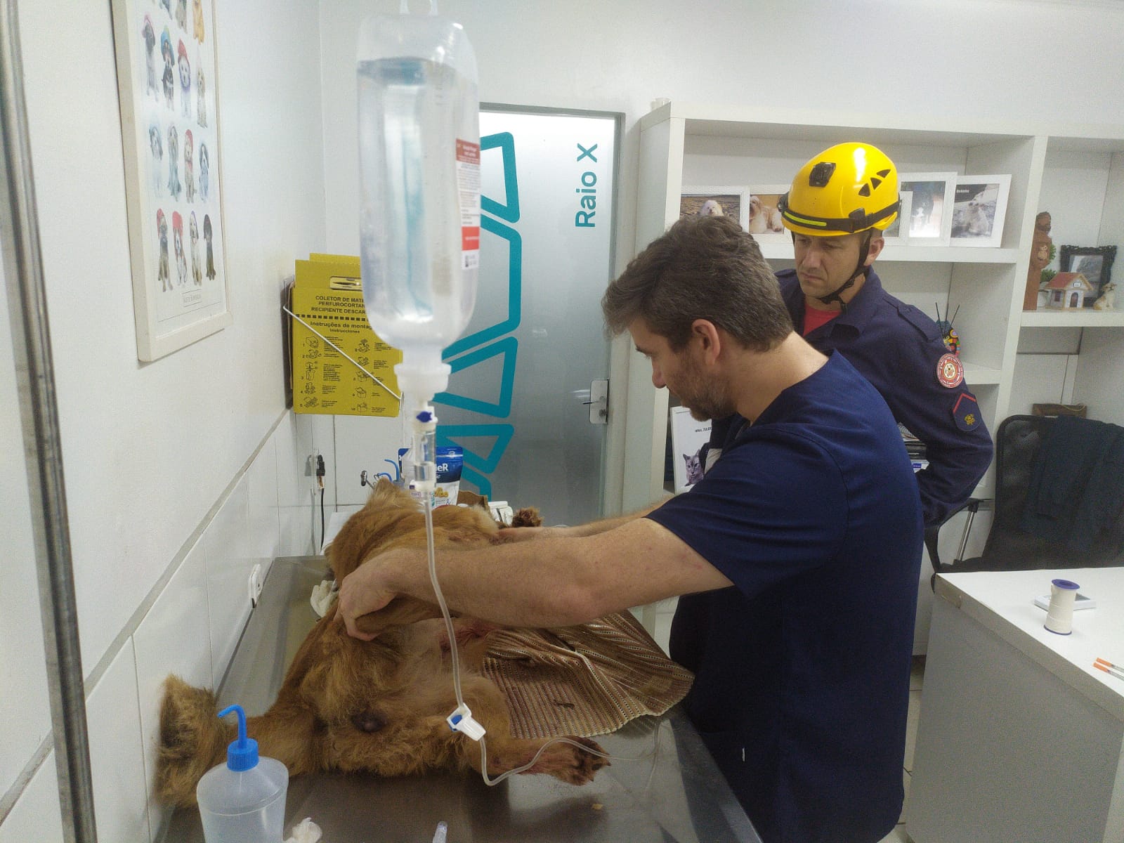 Cão é arrastado por um quilômetro no bairro Lago Azul em Encantado