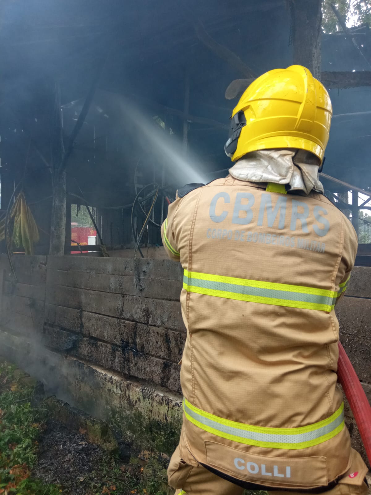Chiqueiro é destruído pelo fogo em Linha Argola Encantado