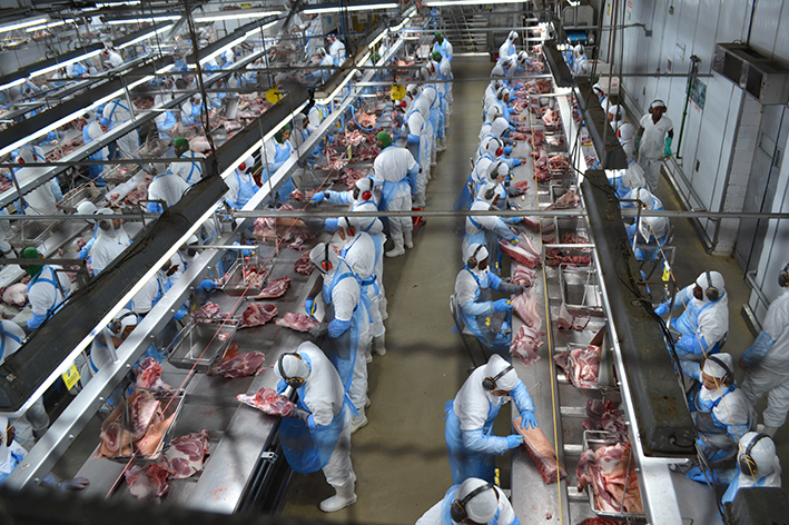 Dália registra 14% de aumento na exportação de carne suína no comparativo de 2022 para 2023
