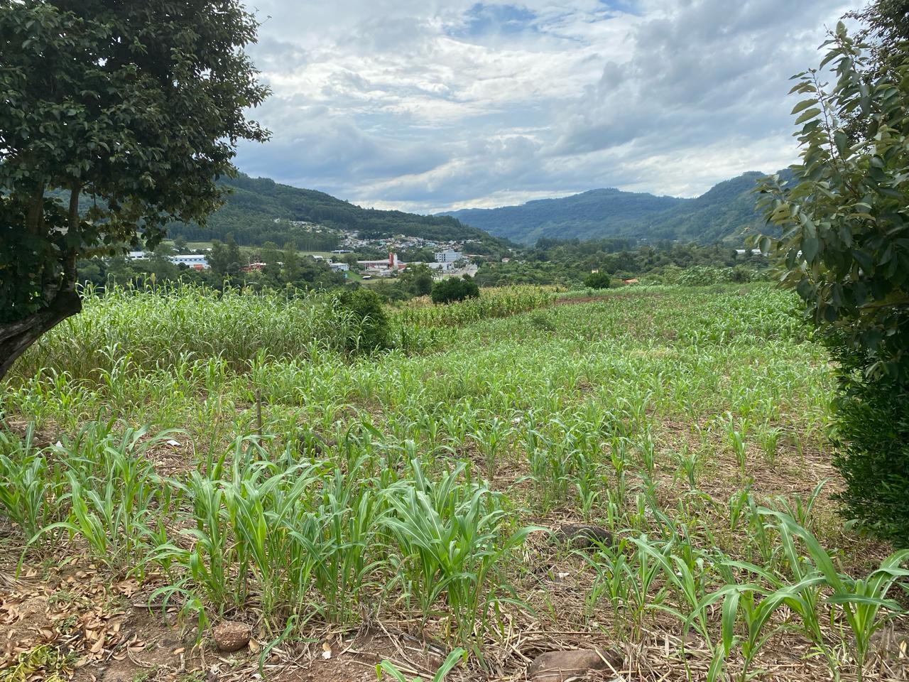 Município de Encantado conquista terreno para construção de casas populares aos atingidos pela enchente