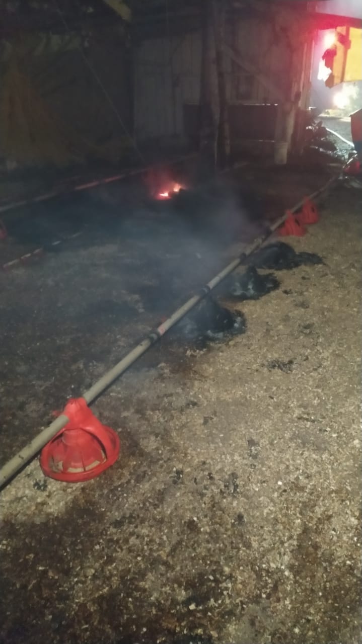 Aviário pega fogo em Coqueiro Baixo