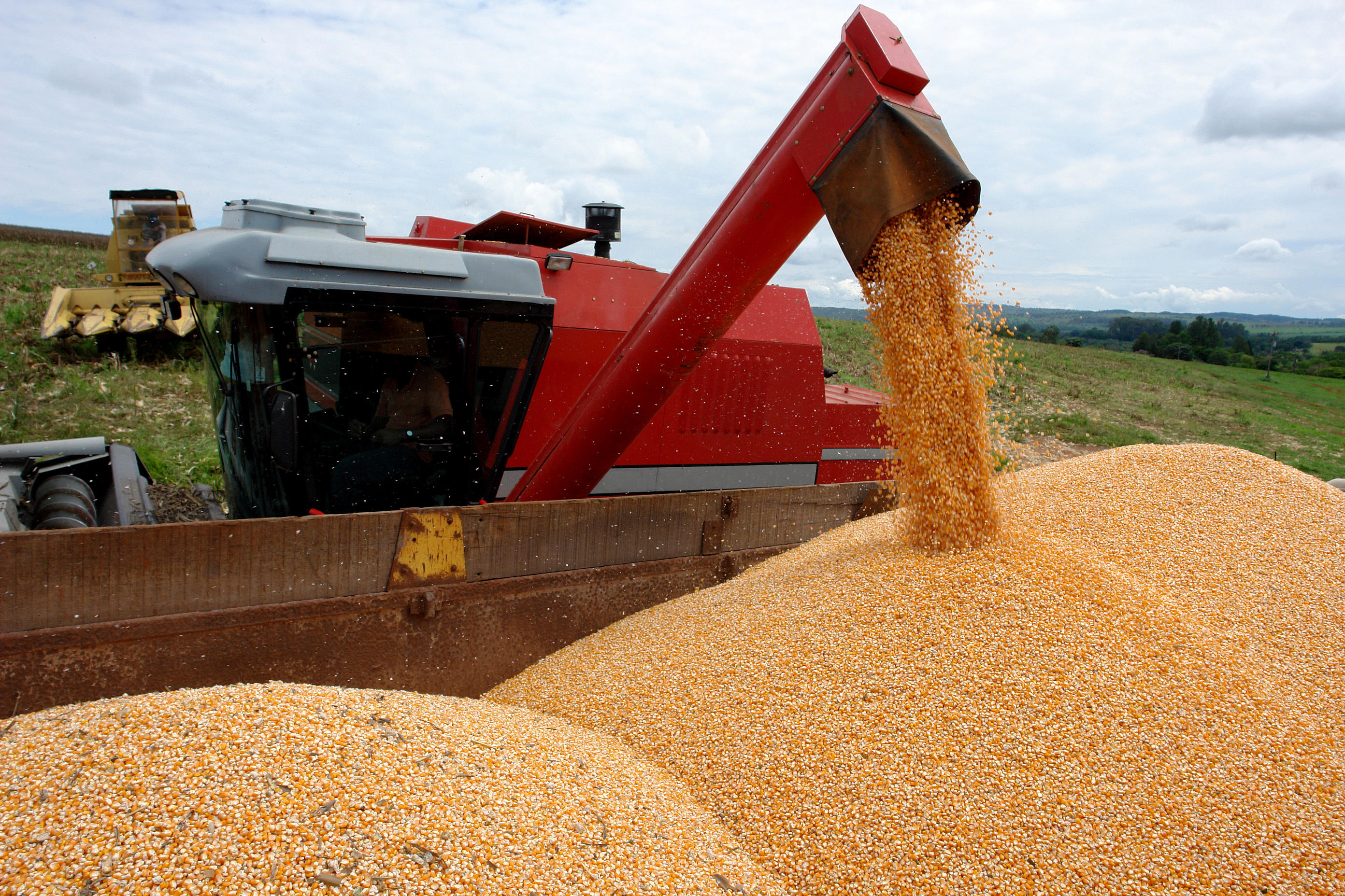 Safra 2023/24: Com alta de 34,5%, RS deve colher 37,1 milhões de toneladas de grãos
