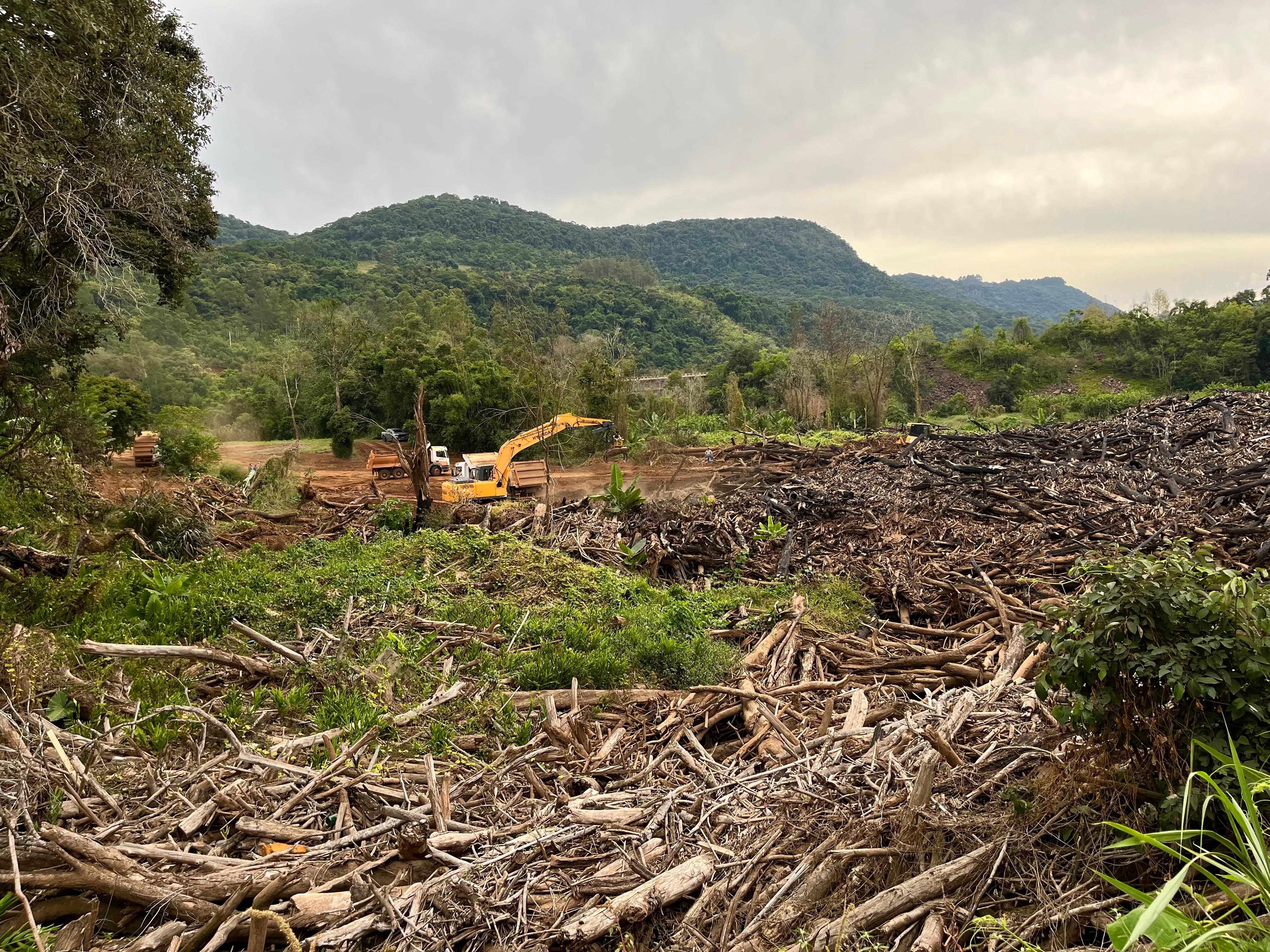 Limpeza do Arroio da Brava marca início do programa Desassorear RS em Muçum
