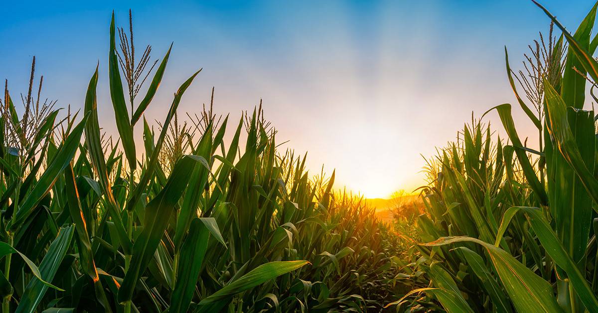 La Niña deve provocar menos chuvas no RS em novembro e dezembro