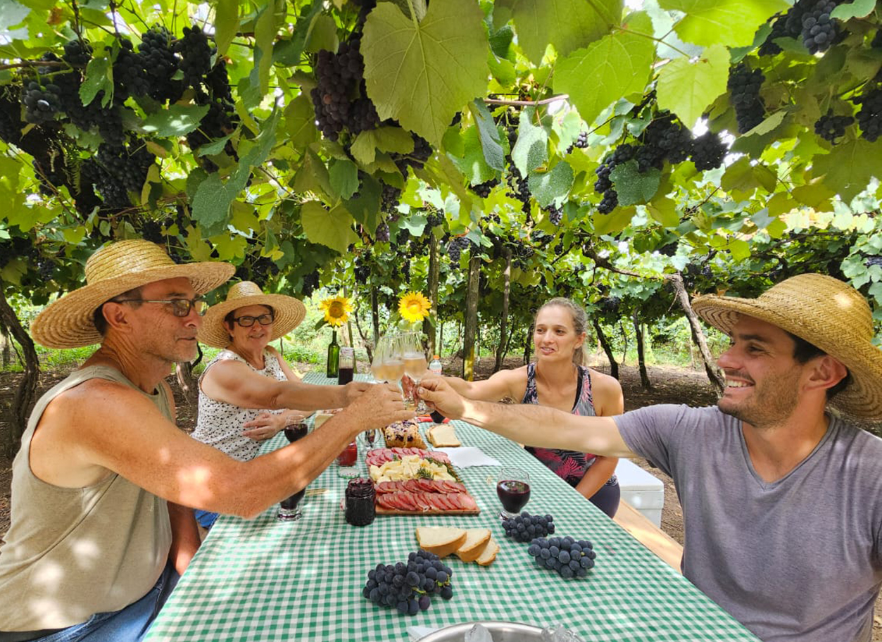 Aproveite, e viva a época de Vindima!