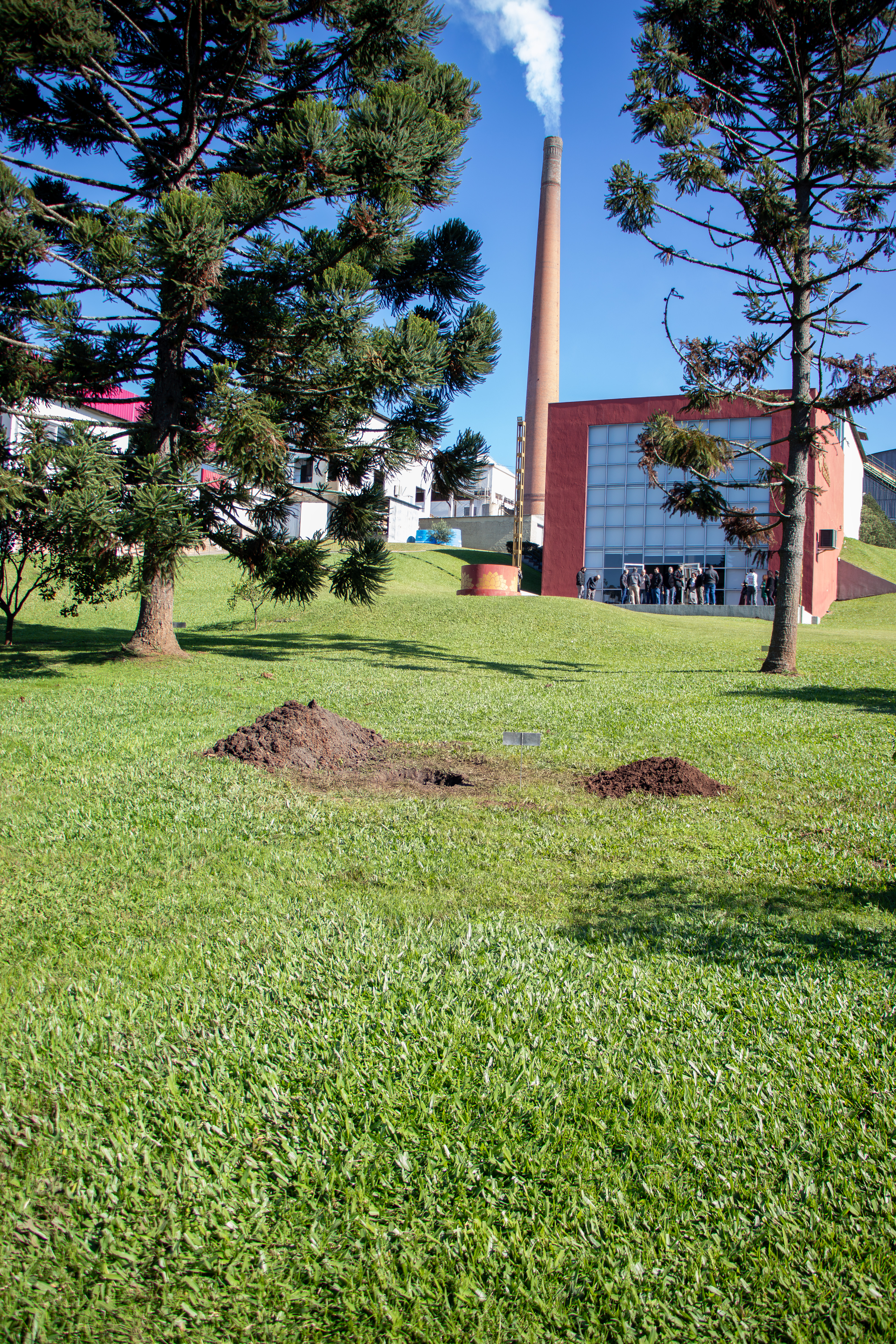 Em ato simbólico, Sabedoria é replantada no Parque Dália