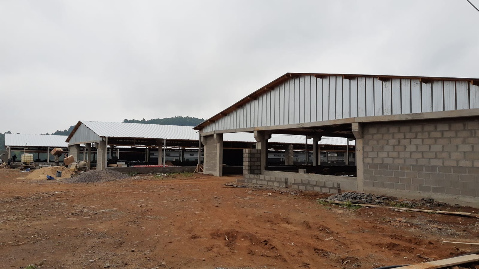 Maior produtor de aves de Nova Bréscia produzirá 4milhões de animais por ano
