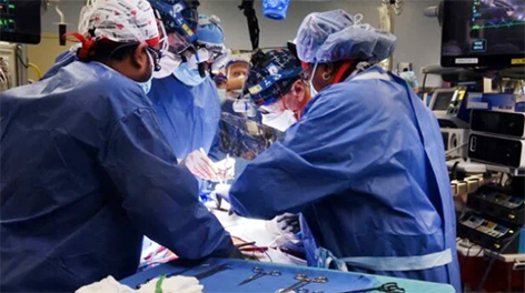 Médicos fazem primeiro transplante de coração de suíno em humano